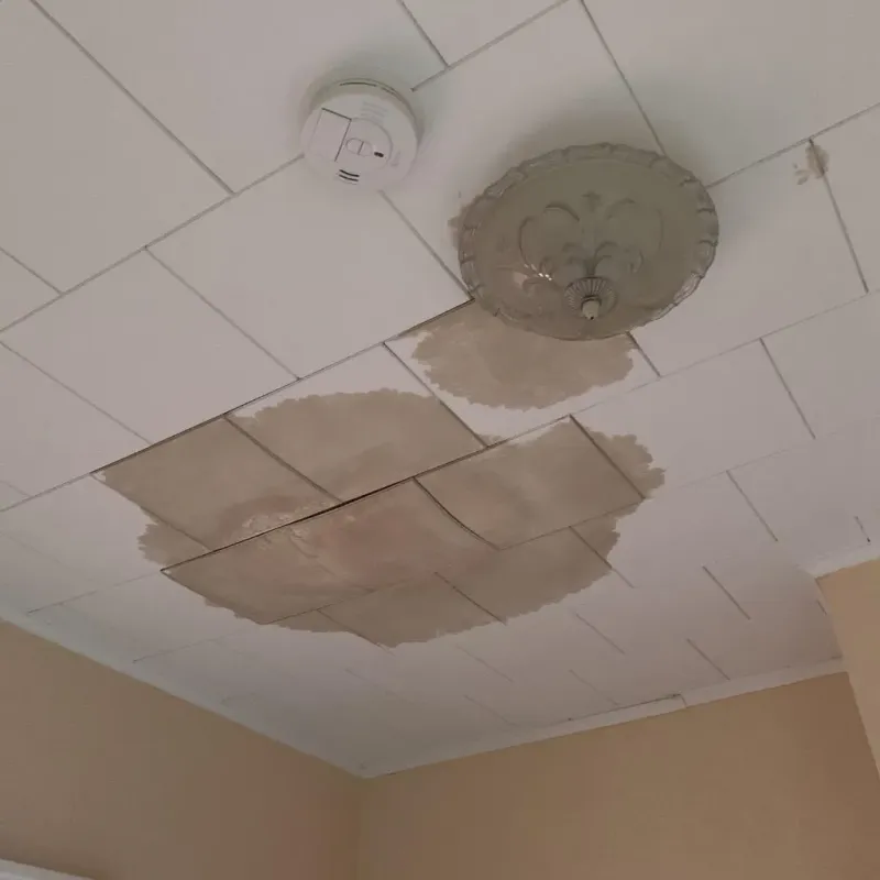 Ceiling Water Damage Repair in Icard, NC